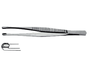 Durand Dissecting Forceps (Several sizes)
