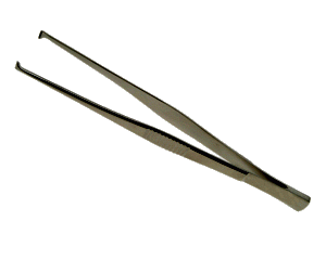 Quenu Dissecting Forceps (Several sizes)