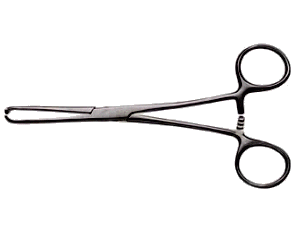 Allis Tissue Forceps (Several sizes)